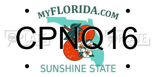 CPNQ16 Florida License Plate