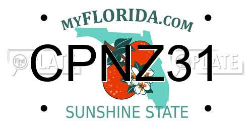 CPNZ31 Florida License Plate