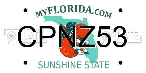 CPNZ53 Florida License Plate