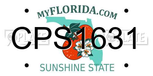 CPS1631 Florida License Plate