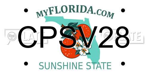 CPSV28 Florida License Plate