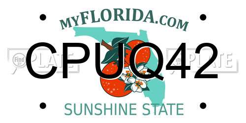 CPUQ42 Florida License Plate