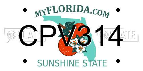 CPV314 Florida License Plate