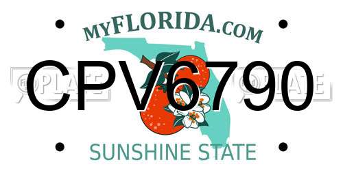 CPV6790 Florida License Plate