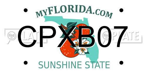CPXB07 Florida License Plate
