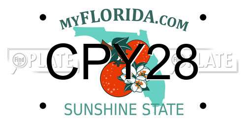 CPY28 Florida License Plate