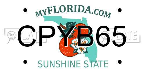 CPYB65 Florida License Plate