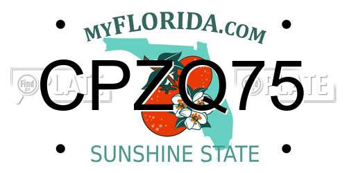 CPZQ75 Florida License Plate
