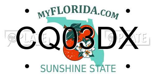 CQ03DX Florida License Plate