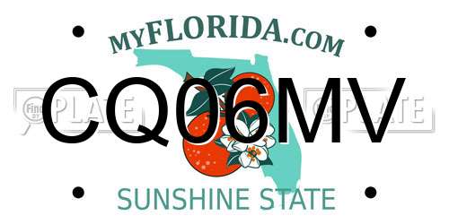 CQ06MV Florida License Plate