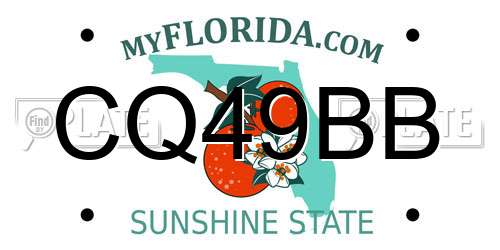 CQ49BB Florida License Plate