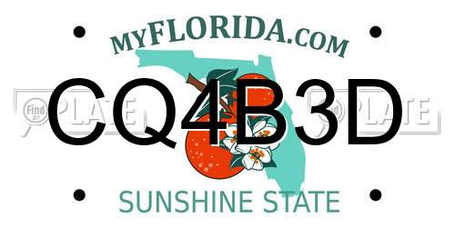 CQ4B3D Florida License Plate