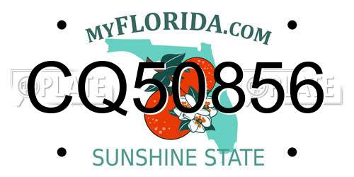 CQ50856 Florida License Plate