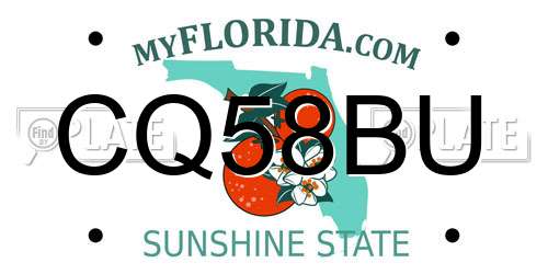 CQ58BU Florida License Plate
