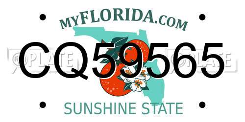 CQ59565 Florida License Plate