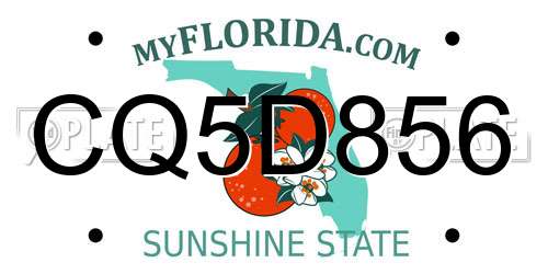 CQ5D856 Florida License Plate