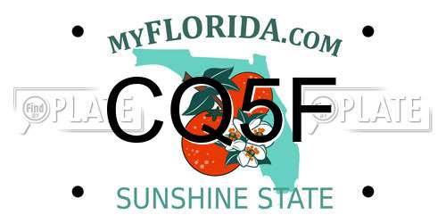 CQ5F Florida License Plate