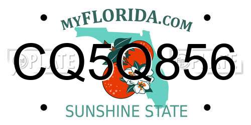 CQ5Q856 Florida License Plate
