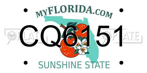 CQ6151 Florida License Plate
