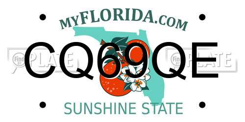 CQ69QE Florida License Plate