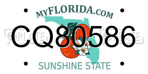 CQ80586 Florida License Plate