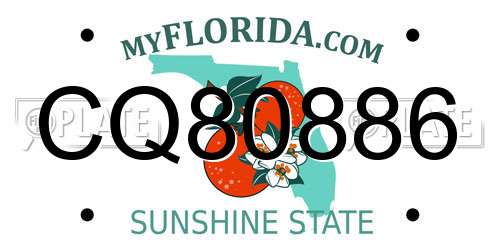 CQ80886 Florida License Plate