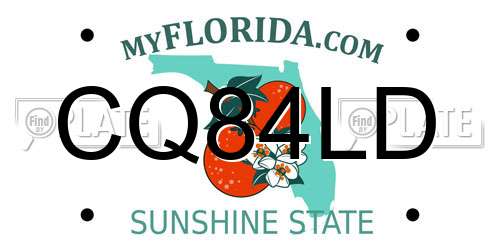 CQ84LD Florida License Plate