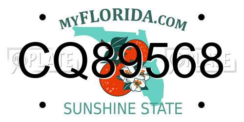 CQ89568 Florida License Plate