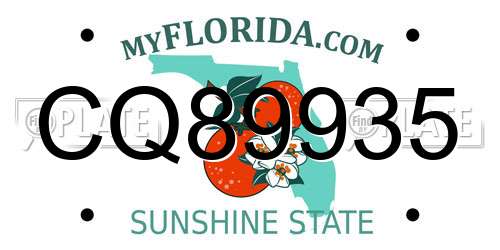 CQ89935 Florida License Plate