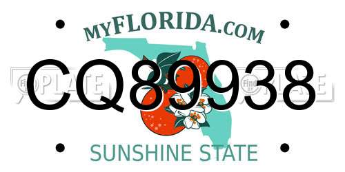 CQ89938 Florida License Plate