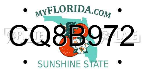 CQ8B972 Florida License Plate