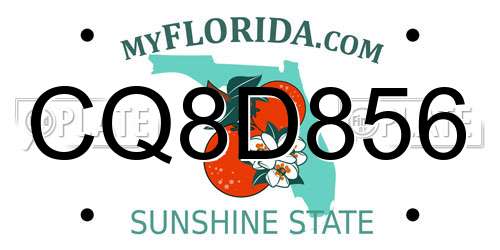 CQ8D856 Florida License Plate