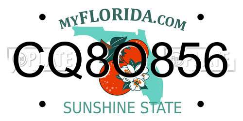 CQ8O856 Florida License Plate