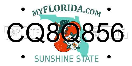CQ8Q856 Florida License Plate