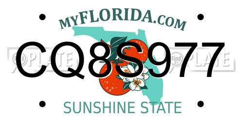 CQ8S977 Florida License Plate