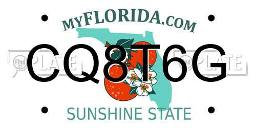 CQ8T6G Florida License Plate