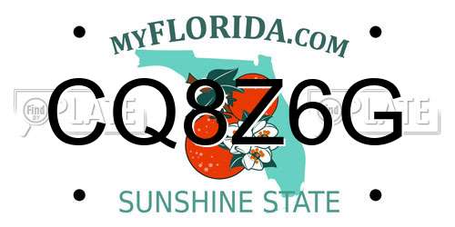 CQ8Z6G Florida License Plate