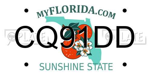 CQ91DD Florida License Plate