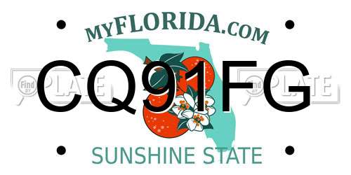 CQ91FG Florida License Plate
