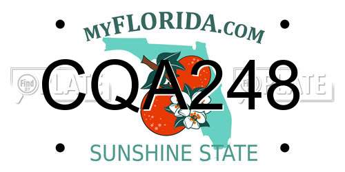 CQA248 Florida License Plate
