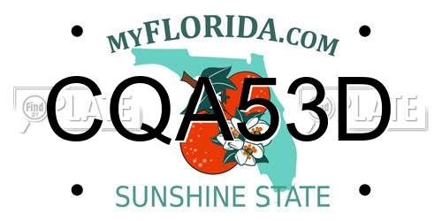CQA53D Florida License Plate