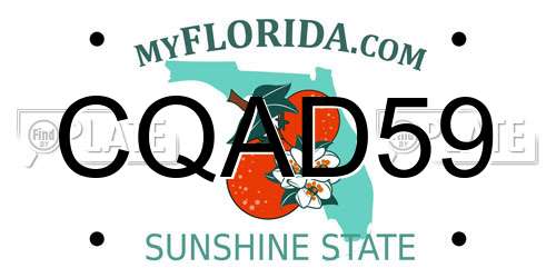 CQAD59 Florida License Plate