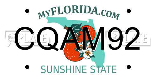 CQAM92 Florida License Plate