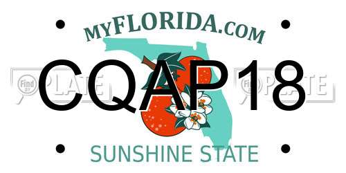CQAP18 Florida License Plate