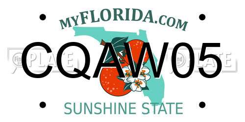 CQAW05 Florida License Plate