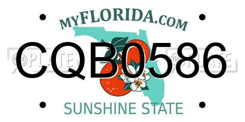 CQB0586 Florida License Plate