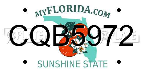 CQB5972 Florida License Plate