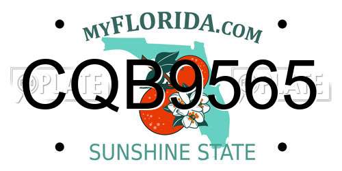 CQB9565 Florida License Plate