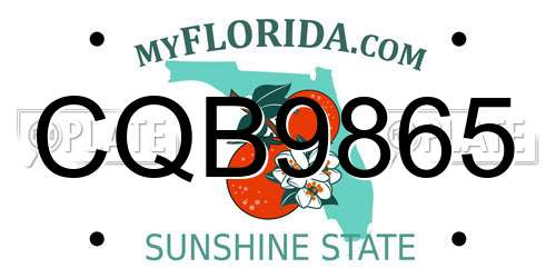 CQB9865 Florida License Plate