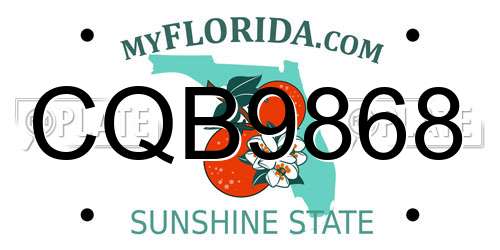 CQB9868 Florida License Plate